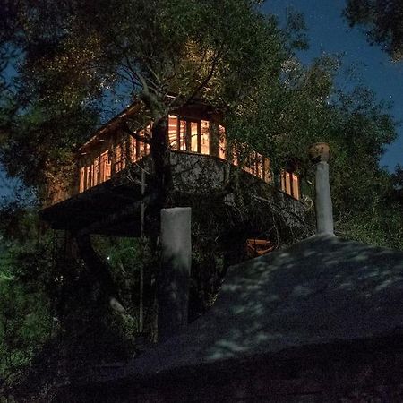 Margaritis'S Treehouse Villa Paramonas  Exterior photo